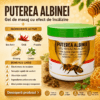 PUTEREA ALBINEI
